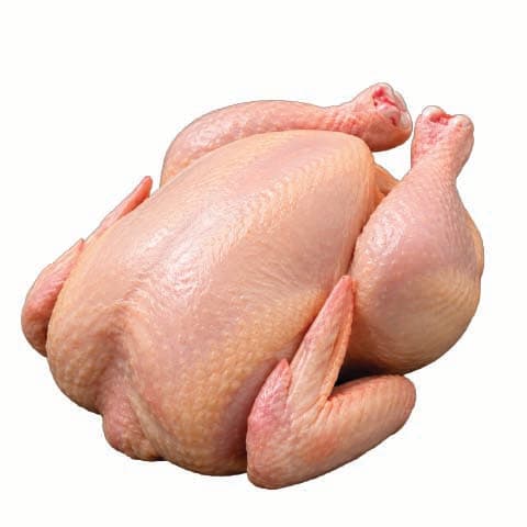 Poultry